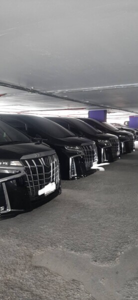 .trashed-1717131268-IMG_20240423_185029[1]